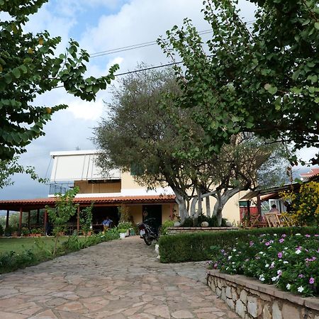 Agrotourism Himara Hotel Eksteriør billede